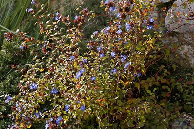 La Roque sur Cèze-015